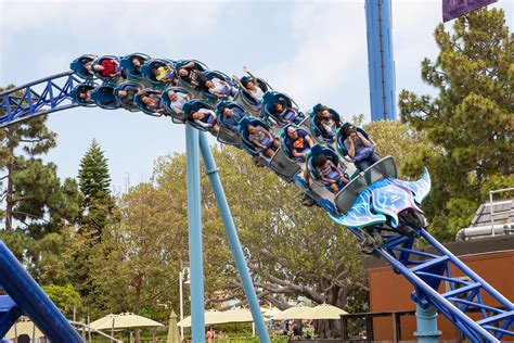 Seaworld in san diego rides. Things To Know About Seaworld in san diego rides. 